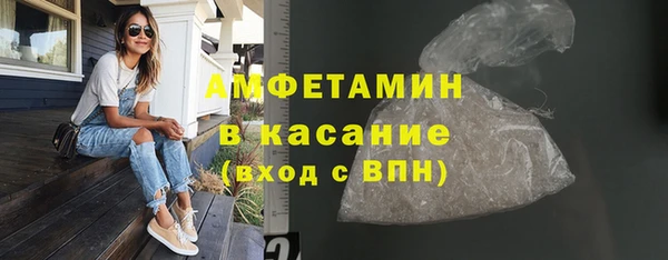 прущие грибы Аркадак