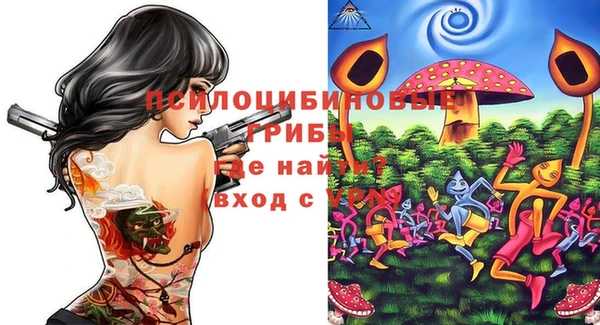 прущие грибы Аркадак