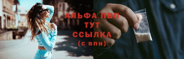 прущие грибы Аркадак