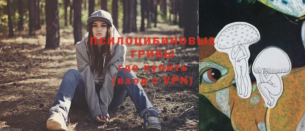 ешки Армянск