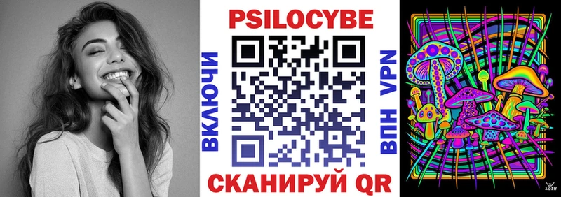 shop какой сайт  Пошехонье  Псилоцибиновые грибы Magic Shrooms 