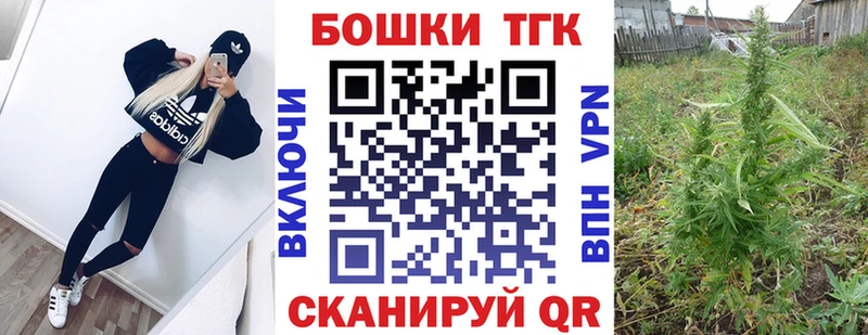 Конопля индика  Пошехонье 